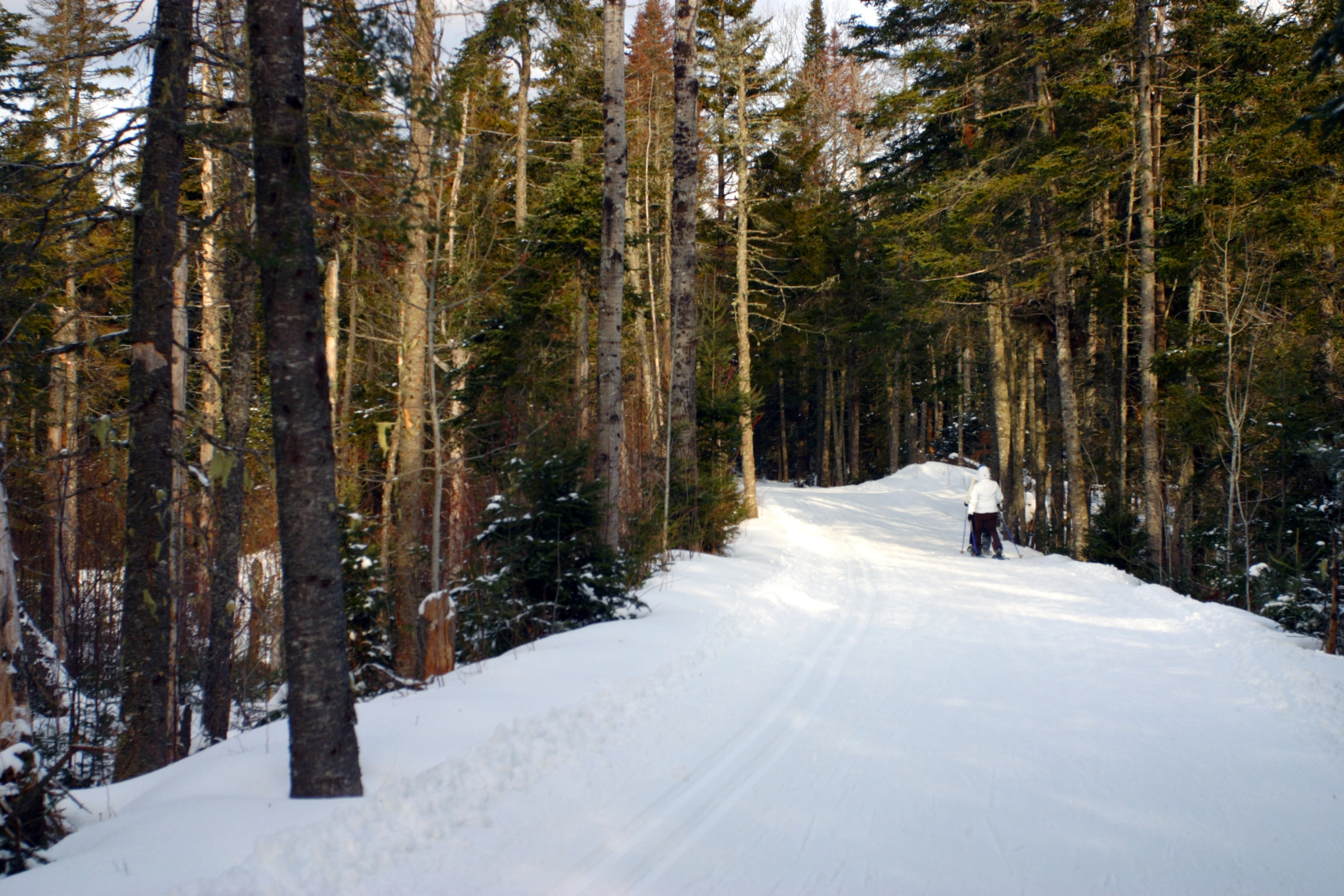 Bretton_Woods,_New_Hampshire[1].webp
